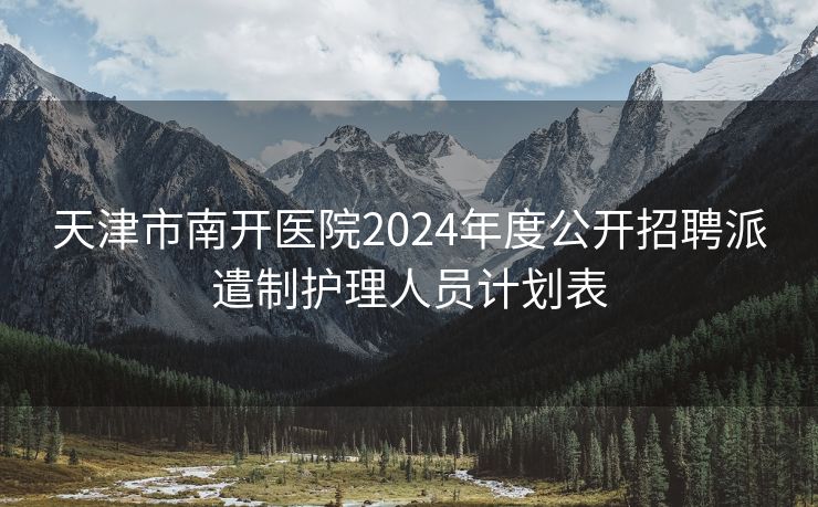 天津市南开医院2024年度公开招聘派遣制护理人员计划表