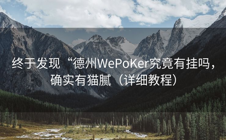 终于发现“德州WePoKer究竟有挂吗，确实有猫腻（详细教程）