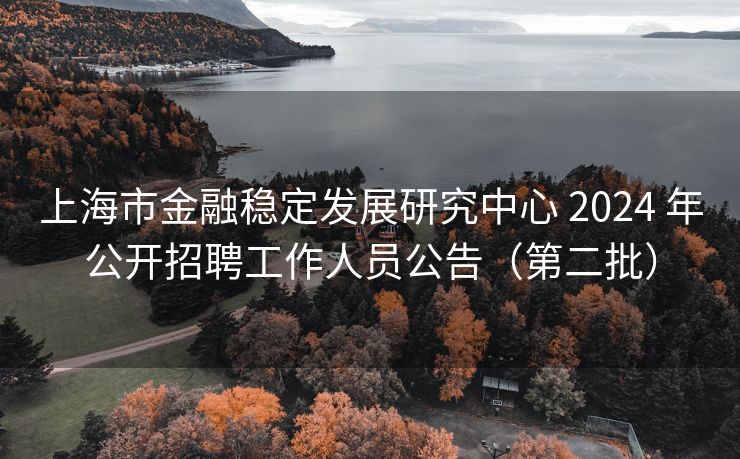 上海市金融稳定发展研究中心 2024 年公开招聘工作人员公告（第二批）