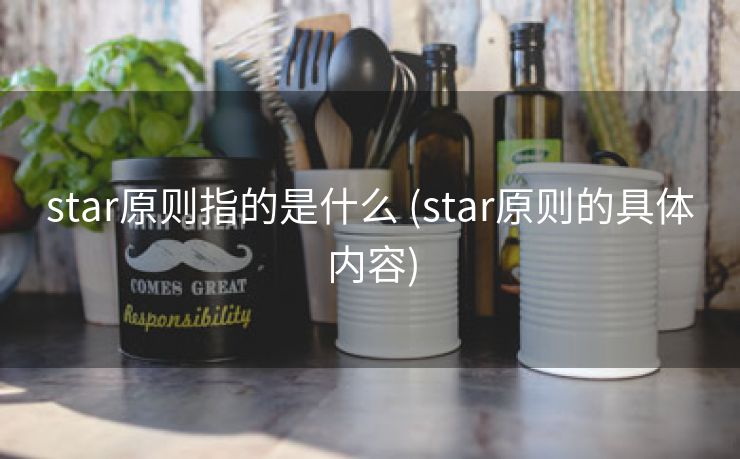 star原则指的是什么 (star原则的具体内容)