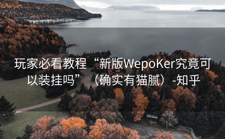 玩家必看教程“新版WepoKer究竟可以装挂吗”（确实有猫腻）-知乎