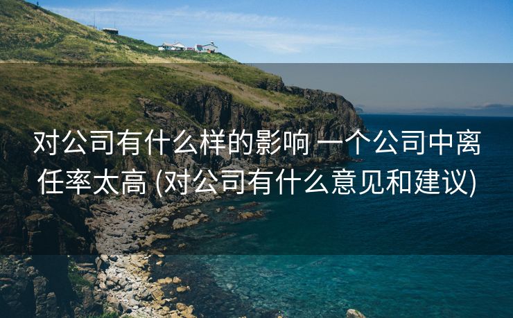 对公司有什么样的影响 一个公司中离任率太高 (对公司有什么意见和建议)