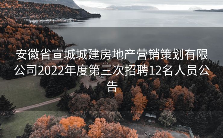 安徽省宣城城建房地产营销策划有限公司2022年度第三次招聘12名人员公告