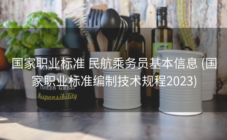 国家职业标准 民航乘务员基本信息 (国家职业标准编制技术规程2023)