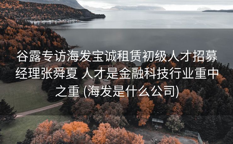 谷露专访海发宝诚租赁初级人才招募经理张舜夏 人才是金融科技行业重中之重 (海发是什么公司)