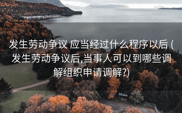 发生劳动争议 应当经过什么程序以后 (发生劳动争议后,当事人可以到哪些调解组织申请调解?)