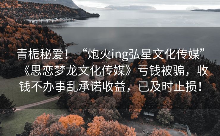 青栀秘爱！“炮火ing弘星文化传媒”《思恋梦龙文化传媒》亏钱被骗，收钱不办事乱承诺收益，已及时止损！