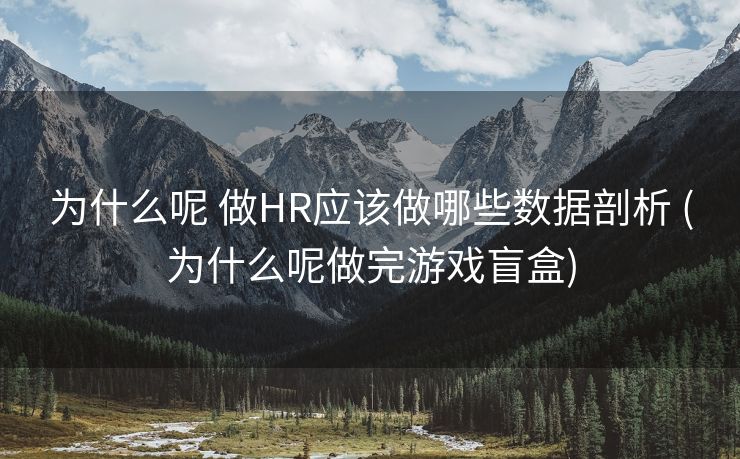 为什么呢 做HR应该做哪些数据剖析 (为什么呢做完游戏盲盒)