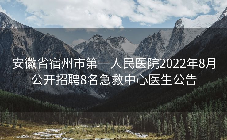 安徽省宿州市第一人民医院2022年8月公开招聘8名急救中心医生公告