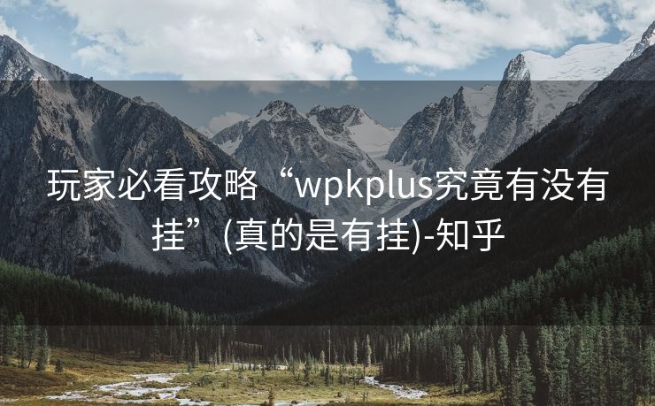 玩家必看攻略“wpkplus究竟有没有挂”(真的是有挂)-知乎