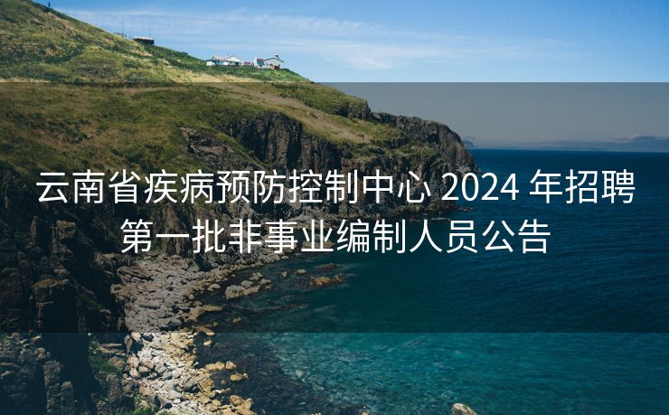 云南省疾病预防控制中心 2024 年招聘第一批非事业编制人员公告