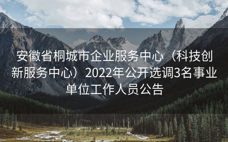 安徽省桐城市企业服务中心（科技创新服务中心）2022年公开选调3名事业单位工作人员公告