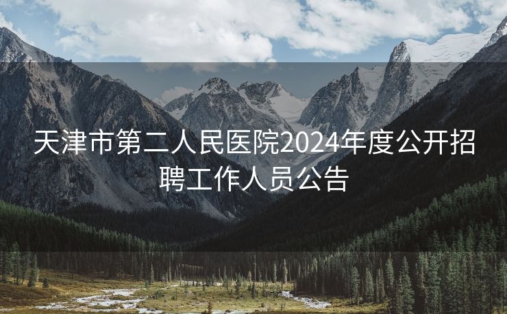 天津市第二人民医院2024年度公开招聘工作人员公告