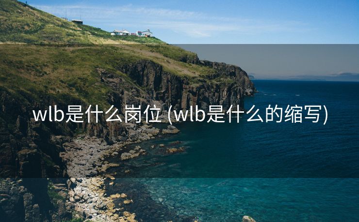 wlb是什么岗位 (wlb是什么的缩写)