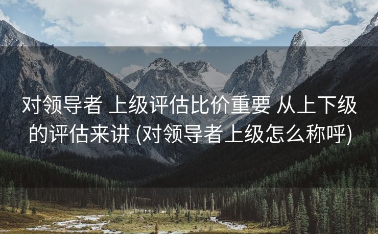 对领导者 上级评估比价重要 从上下级的评估来讲 (对领导者上级怎么称呼)