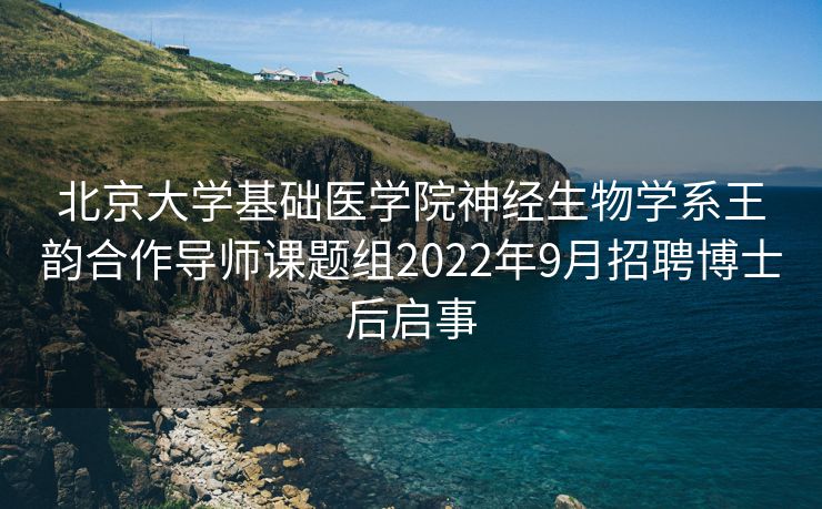 北京大学基础医学院神经生物学系王韵合作导师课题组2022年9月招聘博士后启事