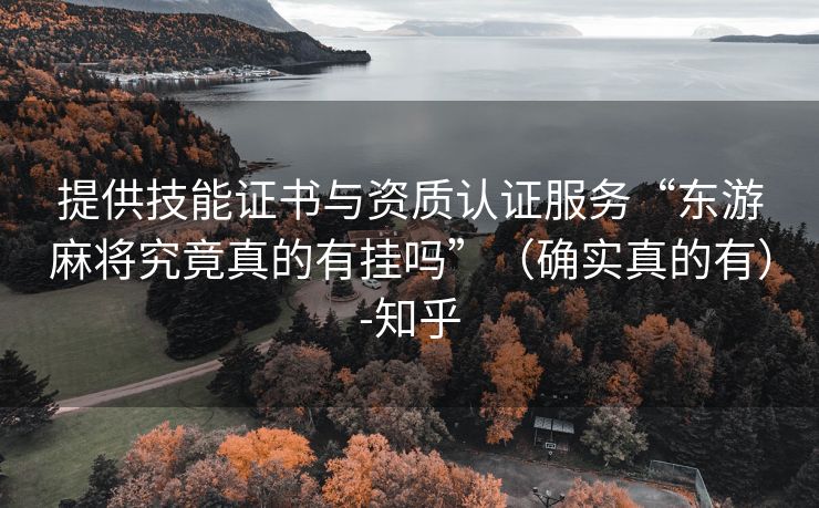 提供技能证书与资质认证服务“东游麻将究竟真的有挂吗”（确实真的有）-知乎