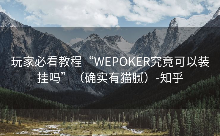 玩家必看教程“WEPOKER究竟可以装挂吗”（确实有猫腻）-知乎