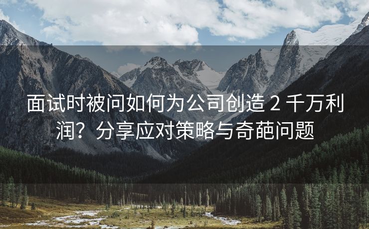 面试时被问如何为公司创造 2 千万利润？分享应对策略与奇葩问题