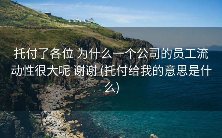 托付了各位 为什么一个公司的员工流动性很大呢 谢谢 (托付给我的意思是什么)