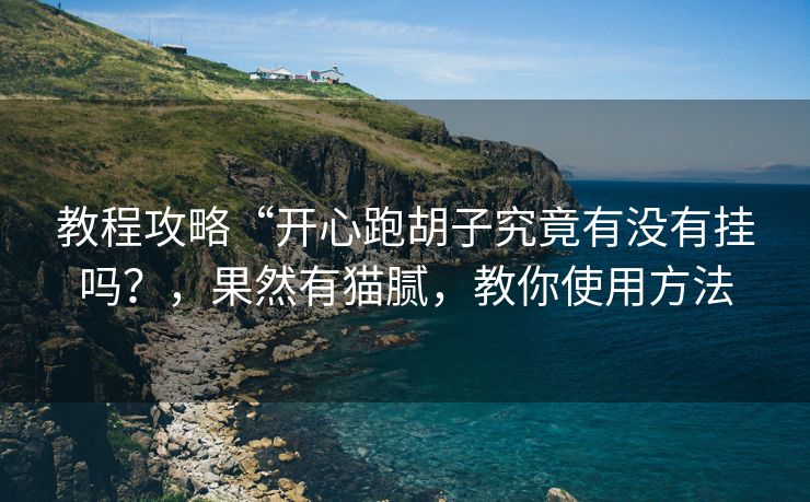 教程攻略“开心跑胡子究竟有没有挂吗？，果然有猫腻，教你使用方法