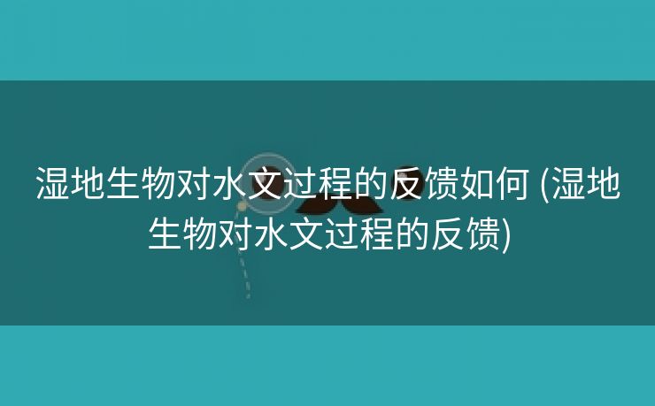 湿地生物对水文过程的反馈如何 (湿地生物对水文过程的反馈)